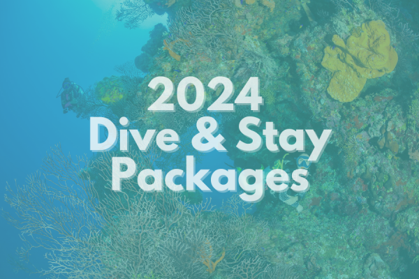 Dive & Stay Packages | Ocean Frontiers